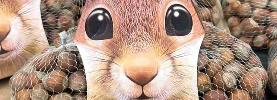 Белочка Водкова Cover Image